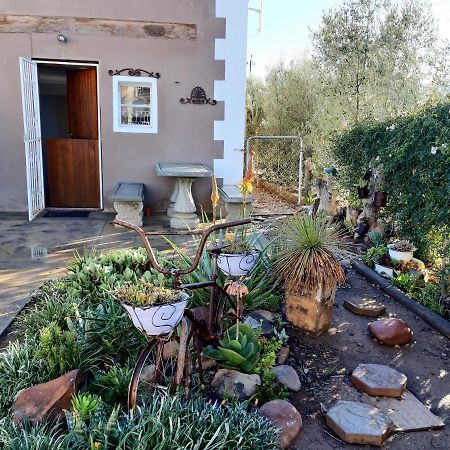 Carmel Villa B&B Or Self-Catering Calvinia Extérieur photo