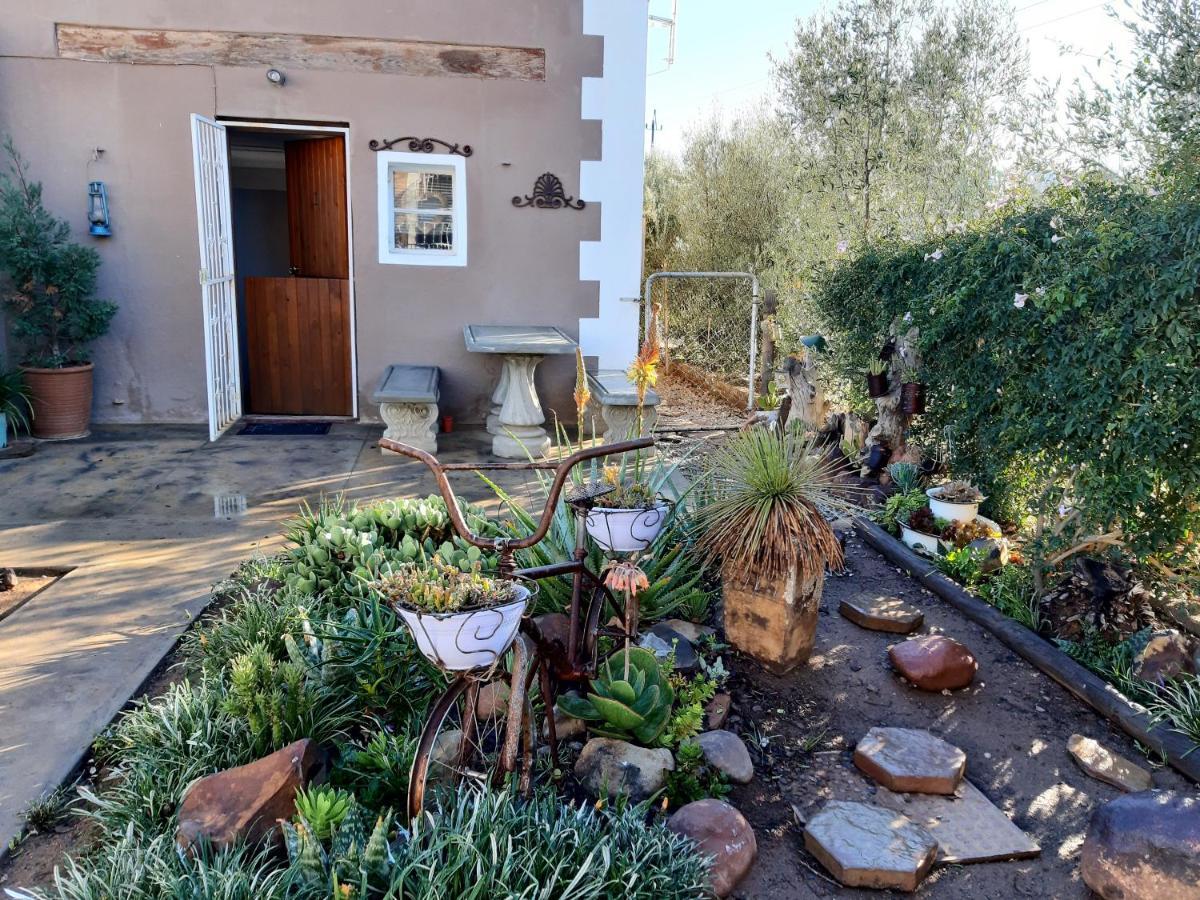 Carmel Villa B&B Or Self-Catering Calvinia Extérieur photo
